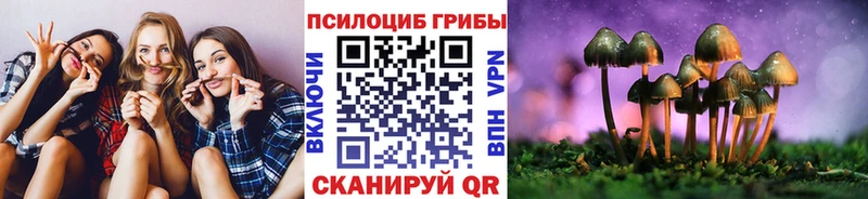 Псилоцибиновые грибы Psilocybe Куйбышев