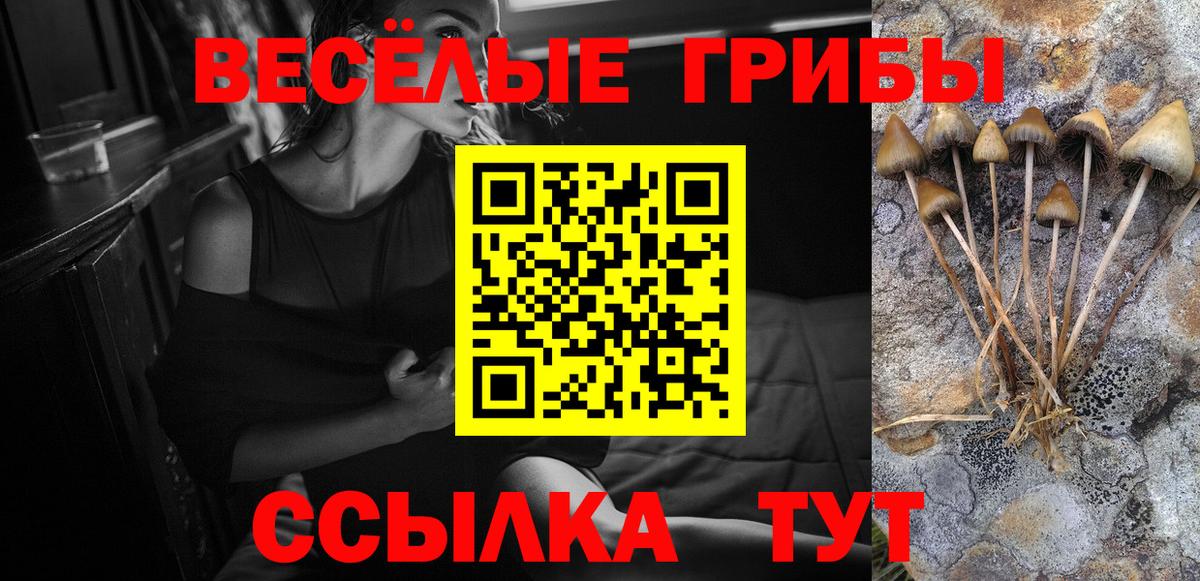 Псилоцибиновые грибы Cubensis  Вход с VPN  Куйбышев 